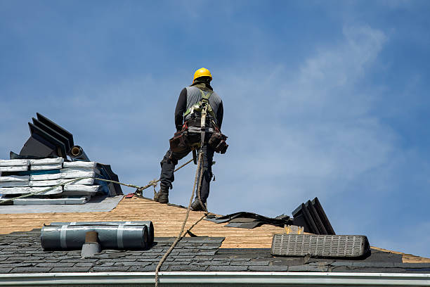 Professional Roofing technician working in Alden, IA